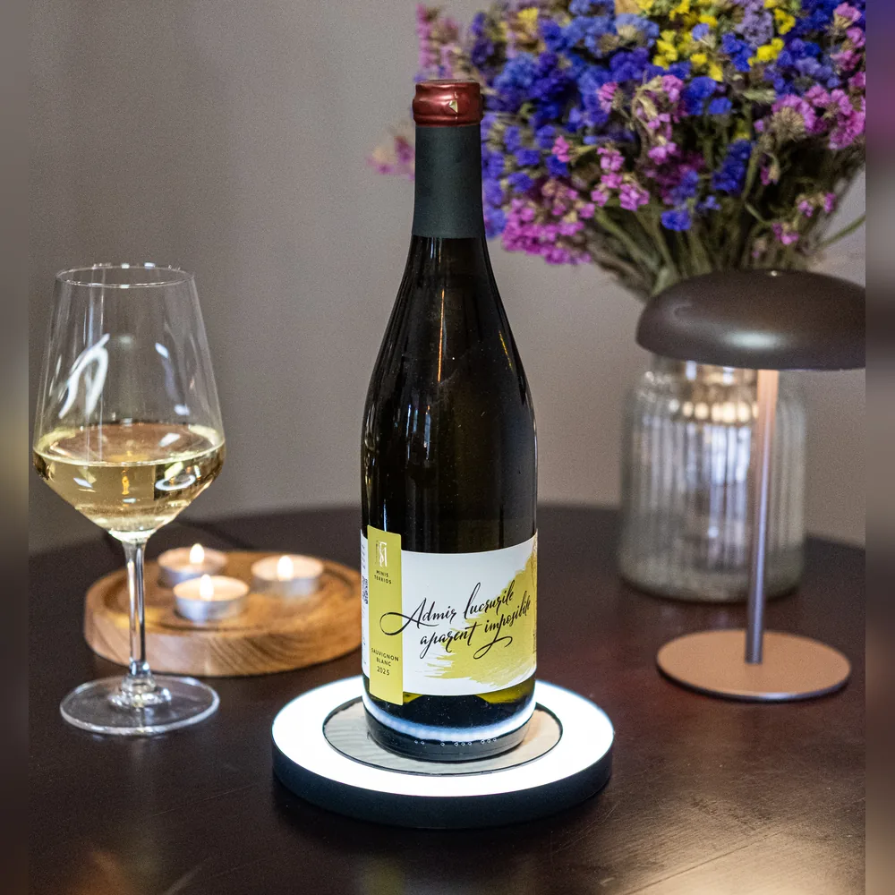 Minis Terrios Sauvignon Blanc